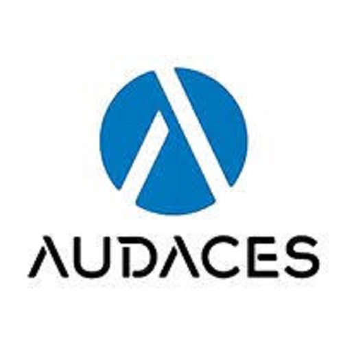 Audaces logo